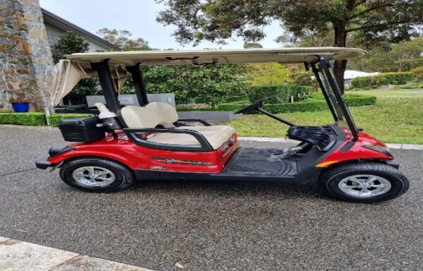 Yamaya 2-seater electric